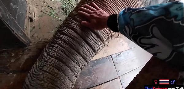  Elephant riding in Thailand with teen couple who had sex afterwards
